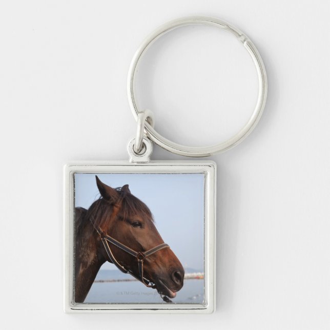 Brown horse head key ring (Front)