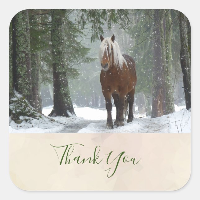 Brown Horse in a Forest in Winter Scenic Thank You Square Sticker (Front)