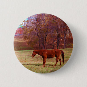 Brown horse in a grass field 6 cm round badge