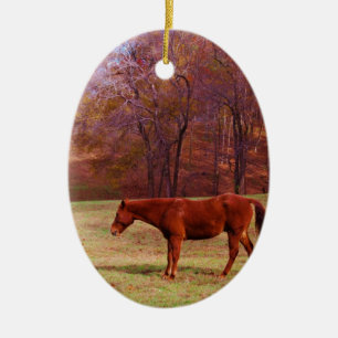 Brown horse in a grass field ceramic tree decoration
