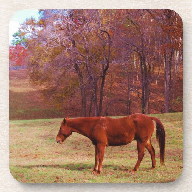 Brown horse in a grass field coaster (Front)