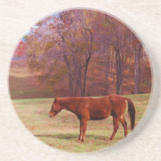 Brown horse in a grass field coaster (Front)