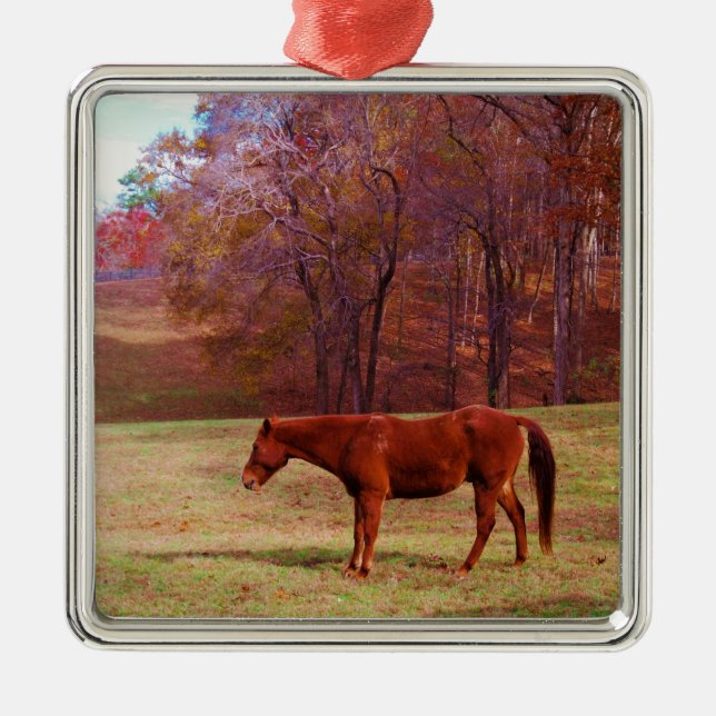 Brown horse in a grass field metal tree decoration (Front)