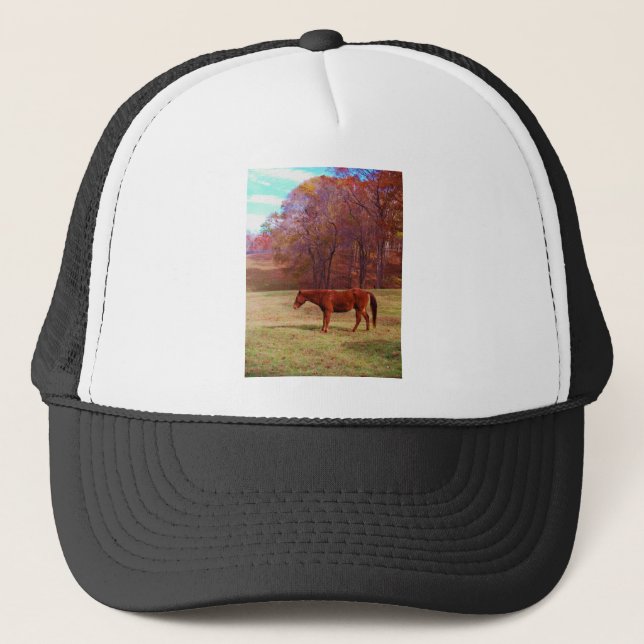 Brown horse in a grass field trucker hat (Front)