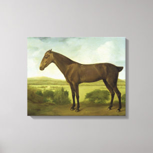 Brown Horse in a Hilly Landscape, c.1780-1800 (oil Canvas Print