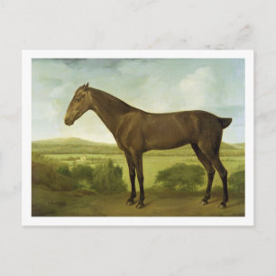 Brown Horse in a Hilly Landscape, c.1780-1800 (oil Postcard