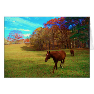 Brown Horse in a Rainbow coloured field