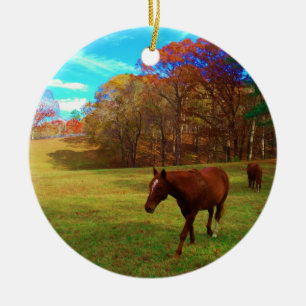 Brown Horse in a Rainbow coloured field Ceramic Tree Decoration
