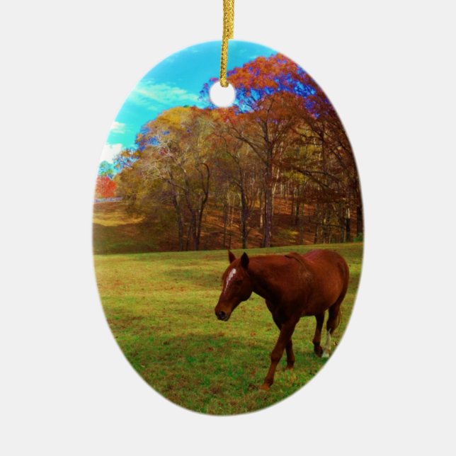Brown Horse in a Rainbow coloured field Ceramic Tree Decoration (Front)