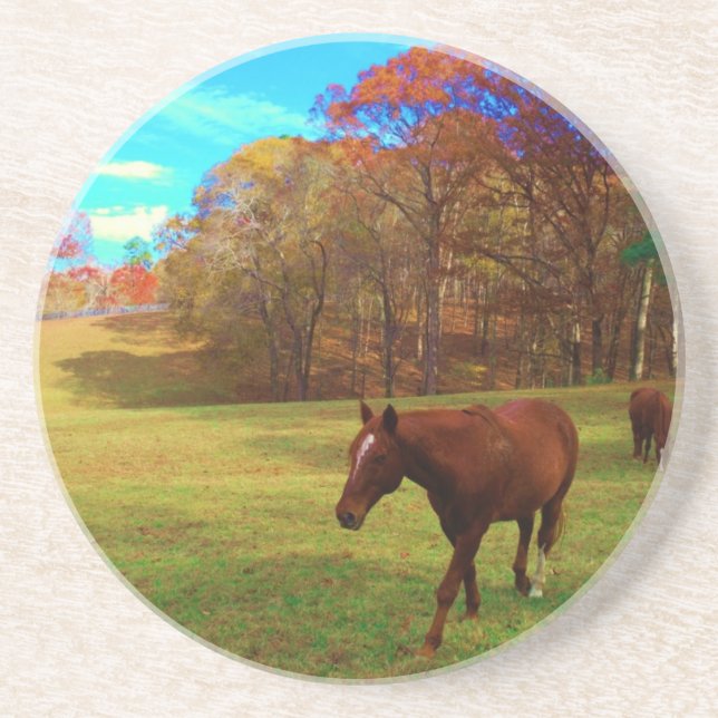 Brown Horse in a Rainbow coloured field Coaster (Front)
