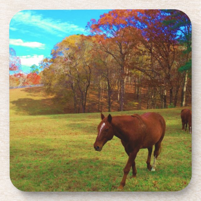 Brown Horse in a Rainbow coloured field Coaster (Front)