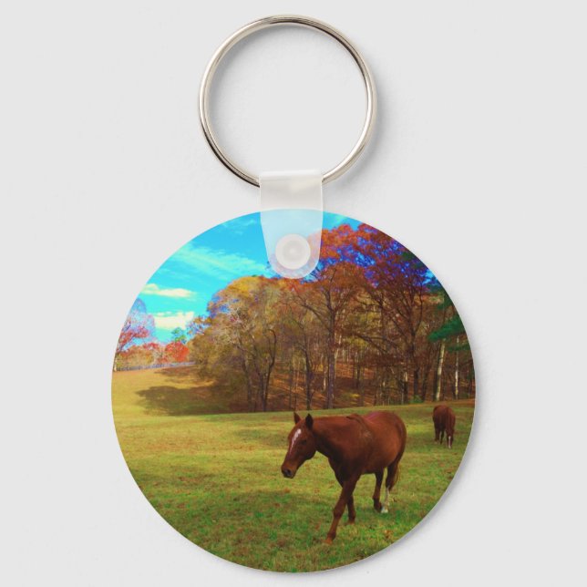 Brown Horse in a Rainbow coloured field Key Ring (Front)