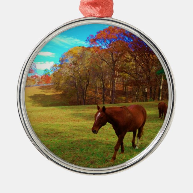 Brown Horse in a Rainbow coloured field Metal Tree Decoration (Front)