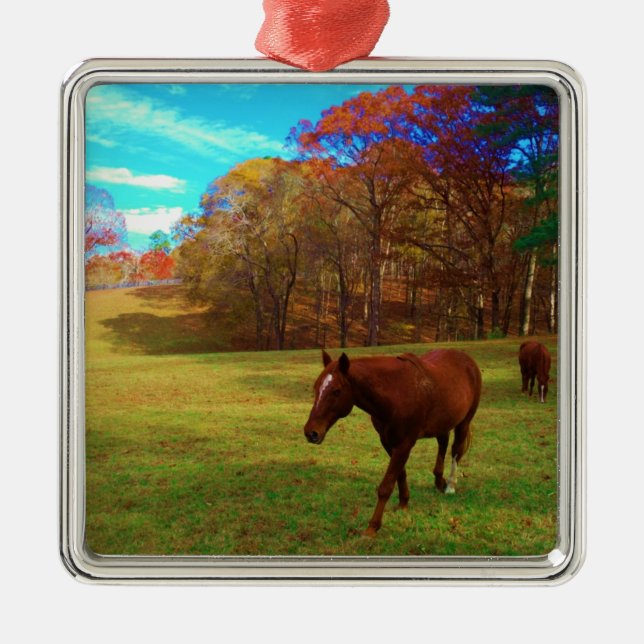 Brown Horse in a Rainbow coloured field Metal Tree Decoration (Front)