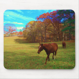 Brown Horse in a Rainbow coloured field Mouse Mat