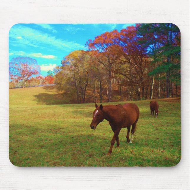 Brown Horse in a Rainbow coloured field Mouse Mat (Front)