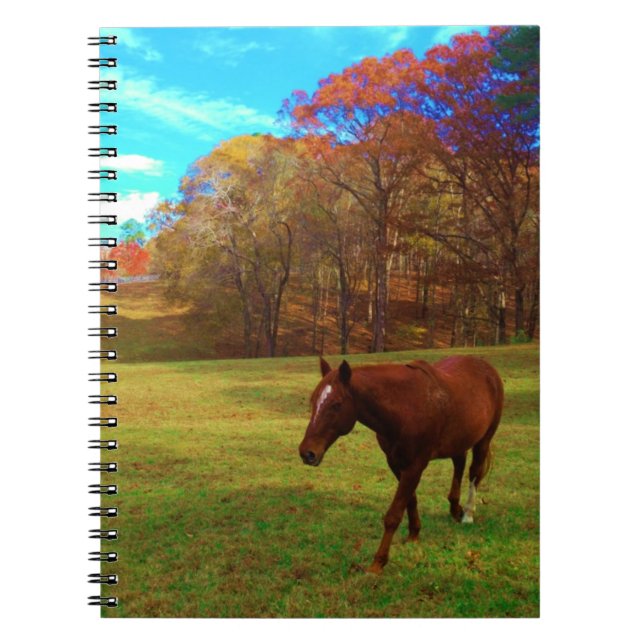 Brown Horse in a Rainbow coloured field Notebook (Front)