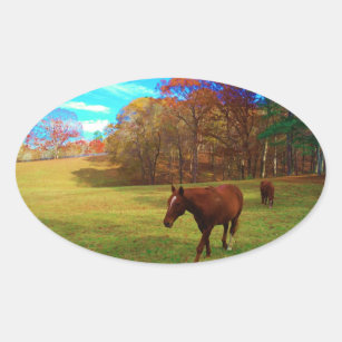 Brown Horse in a Rainbow coloured field Oval Sticker