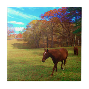 Brown Horse in a Rainbow coloured field Tile