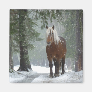 Brown Horse in a Winter Forest with Snow Falling Magnet