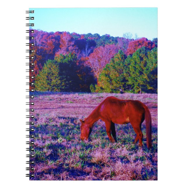 Brown horse in Purple Grass Notebook (Front)