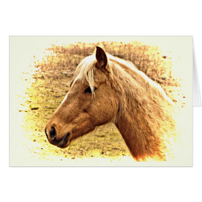 Brown Horse in Sun Animal Blank Card (Front Horizontal)