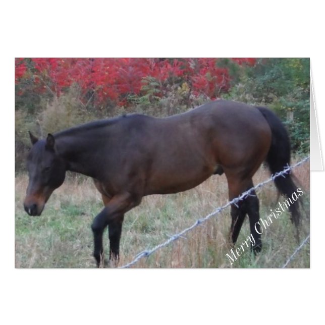 Brown horse in the red autumn trees (Front Horizontal)