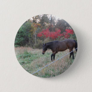 Brown horse in the red autumn trees 6 cm round badge