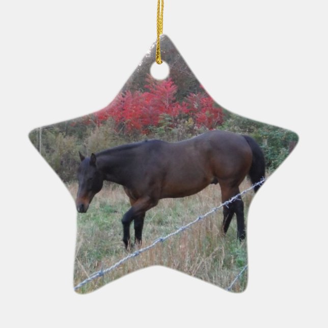 Brown horse in the red autumn trees ceramic tree decoration (Front)