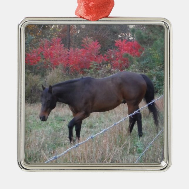 Brown horse in the red autumn trees metal tree decoration (Front)