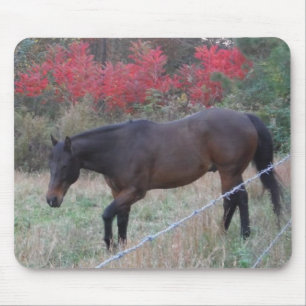Brown horse in the red autumn trees mouse mat