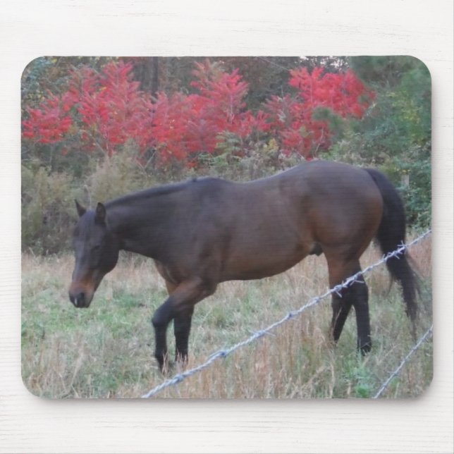 Brown horse in the red autumn trees mouse mat (Front)
