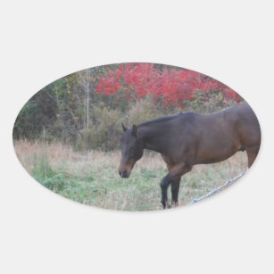 Brown horse in the red autumn trees oval sticker
