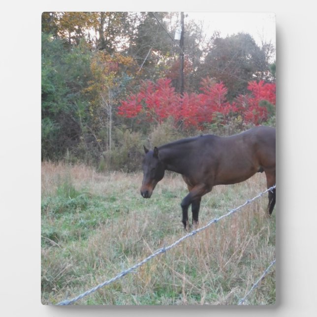 Brown horse in the red autumn trees plaque (Front)