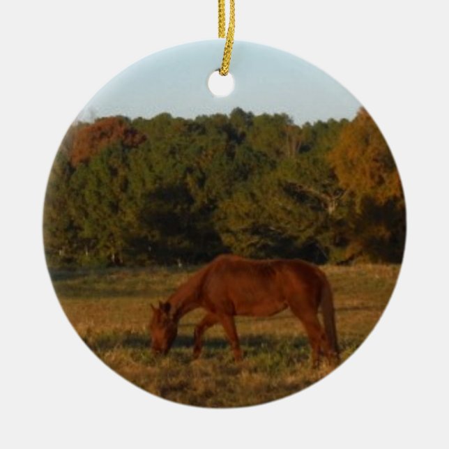 Brown horse in  the Sun Ceramic Tree Decoration (Front)