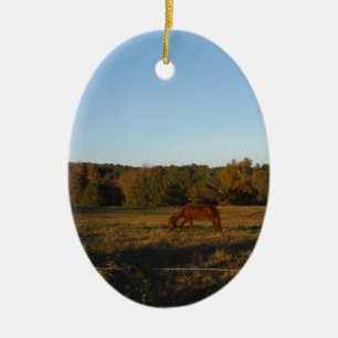 Brown horse in  the Sun Ceramic Tree Decoration