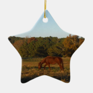 Brown horse in  the Sun Ceramic Tree Decoration