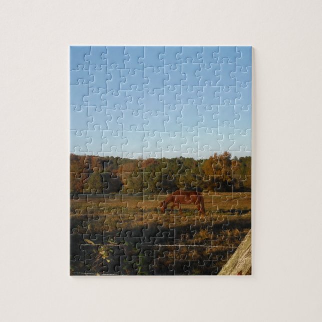 Brown horse in  the Sun Jigsaw Puzzle (Vertical)