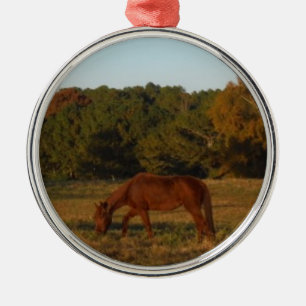 Brown horse in the Sun Metal Tree Decoration