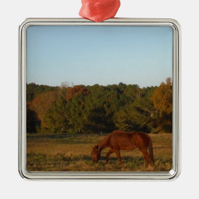 Brown horse in  the Sun Metal Tree Decoration (Front)