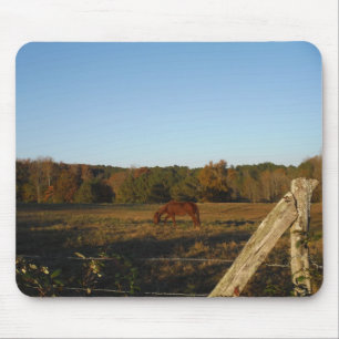 Brown horse in  the Sun Mouse Mat