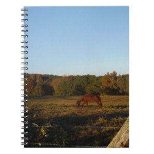 Brown horse in the Sun Notebook