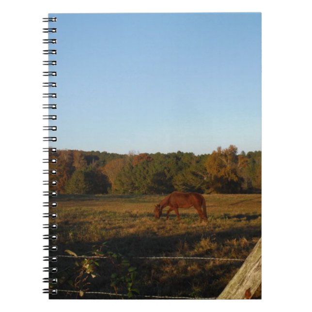 Brown horse in  the Sun Notebook (Front)