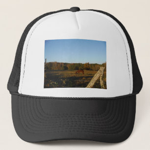 Brown horse in the Sun Trucker Hat