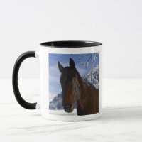 Brown horse in winter