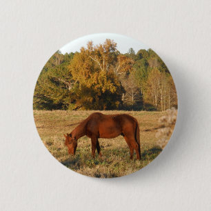 Brown horse in yellow tree field 6 cm round badge