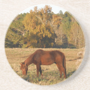 Brown horse in  yellow tree field coaster