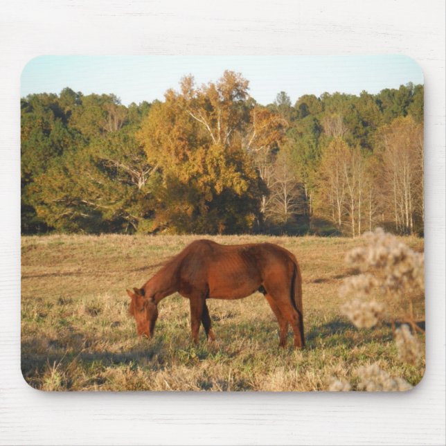 Brown horse in  yellow tree field mouse mat (Front)