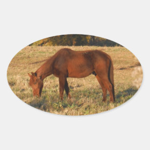 Brown horse in  yellow tree field oval sticker