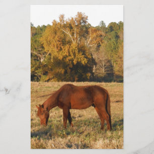 Brown horse in  yellow tree field stationery